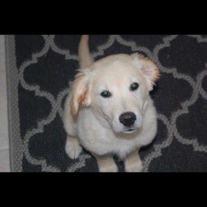 Meet your Posher, Kathy